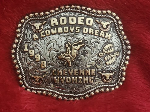 Cheyenne bull riding rodeo - wy,