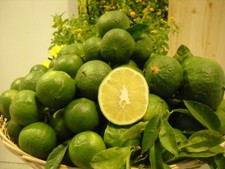 5 KG di Bergamotto Fresco Area Grecanica Reggina- Buccia edibile -NON TRATTATO