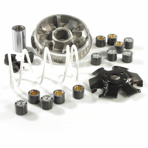 Malossi m5116674 variatore - m5116674,