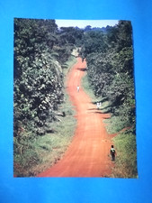 CLIPPING DI GIORNALE PAESAGGIO TURISMO VIAGGI VIAGGIO DA COLLEZIONE - (141)