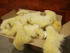 Resti Pelliccia, Bastellreste Di Vera, Gewachsenen pelle Agnello, Med. Gegerb