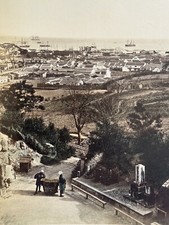 Beato FELICE &Disegno albume