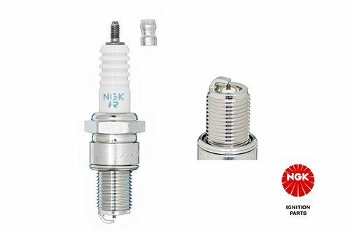 Candela ngk br10eg platino - br10eg,