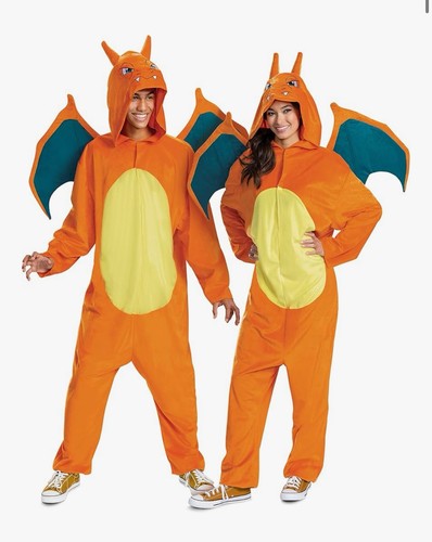 Costume charizard - costume,