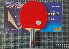 Professional Table Tennis