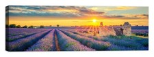 paesaggio provenza - Quadro