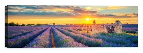 Paesaggio provenza quadro - provenza,
