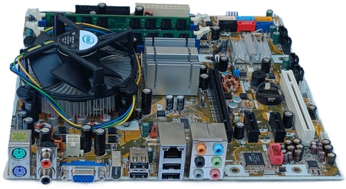Scheda madre asus - scheda,