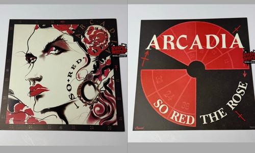Arcadia red the rose - rose, poster