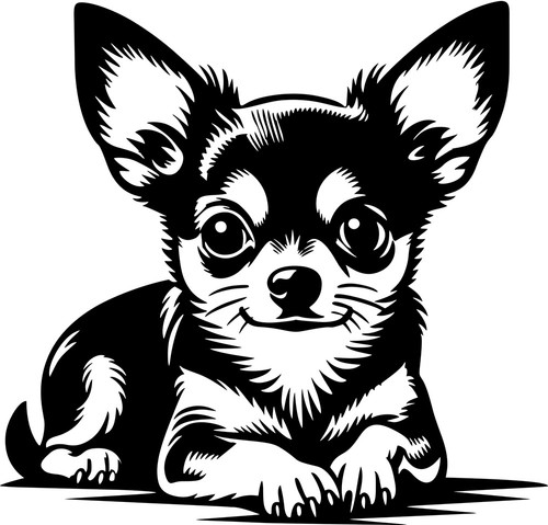 Adesivo chihuahua - chihuahua,