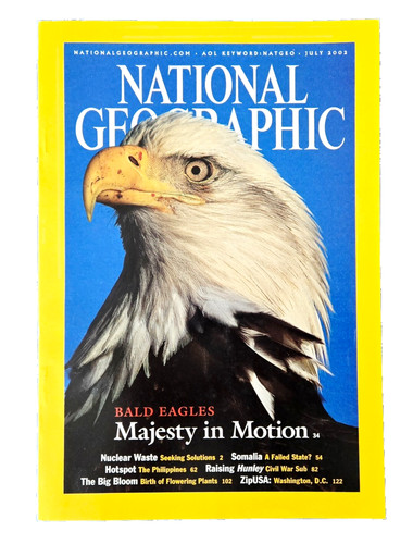 American bald eagles july 2002 - american,