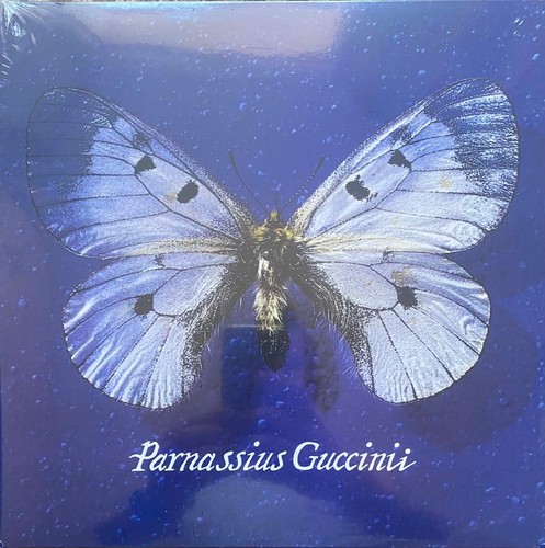 Francesco guccini parnassius - guccini, "parnassius"