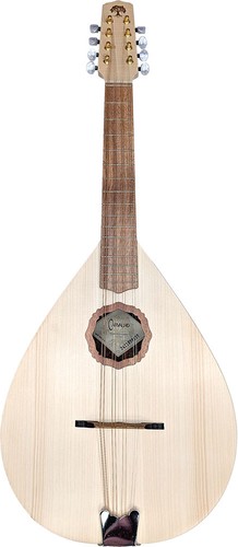 Carvalho leaf tenore - carvalho,