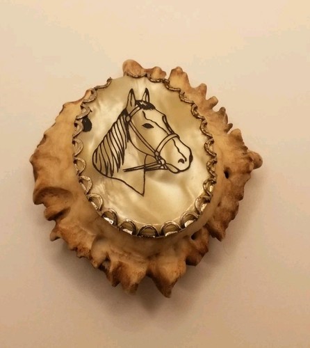 Testa cavallo scrimshaw - testa,