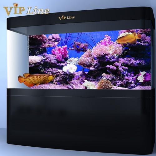 Poster sfondo acquario corallo