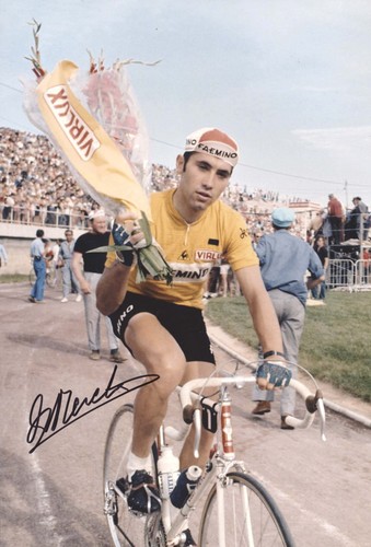 Eddy merckx foto - merckx,