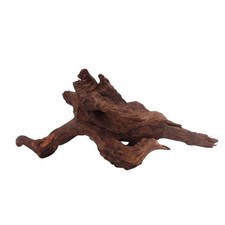 L Driftwood radice di fiume