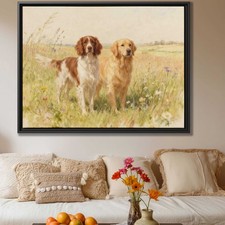 Golden Retriever Irish Setter