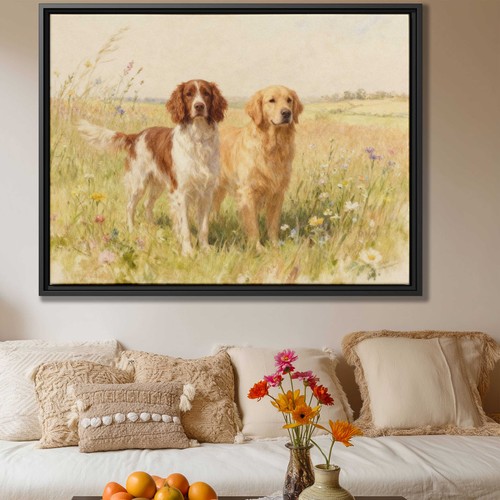 Setter irlandese golden - setter,