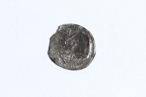 Goffratura anonima siliqua - goffratura,