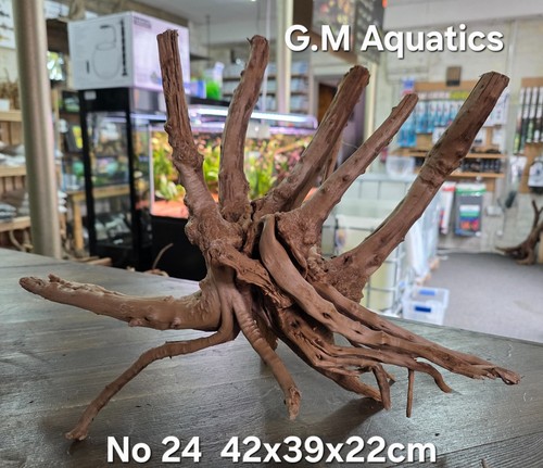 Acquario acquascape - acquario,