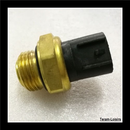 Sonde température - sonde, de