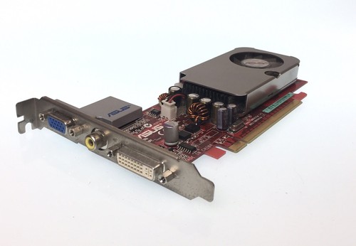 Scheda video pci asus - video,