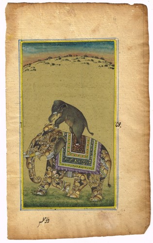 Indiano miniatura pittura - pittura, di