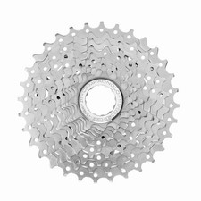 CAMPAGNOLO PACCO PIGNONI