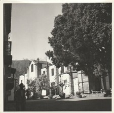 10243 eb. Foto vintage Tenerife Canarie 1960 - 12,5x12,5