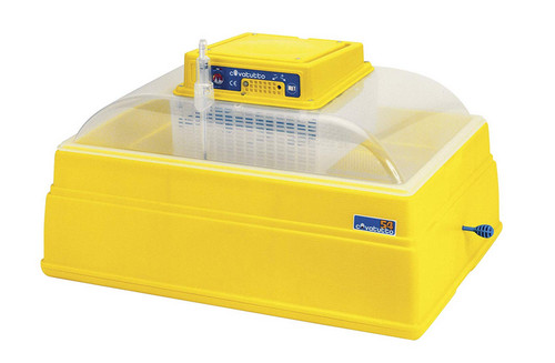 Incubatrice covatutto per - incubatrice,