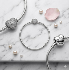 NEW Pandora  Bracelet Moments