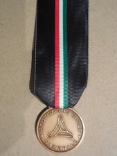 medaglia al merito della protezione Civile Nazionale bronzo