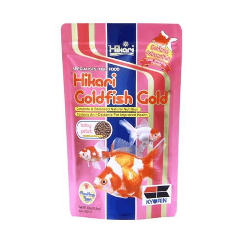 Hikari goldfish gold - goldfish, baby