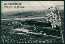 Treviso Valdobbiadene Pianezze Stelle Alpine Foto FG cartolina VK3165