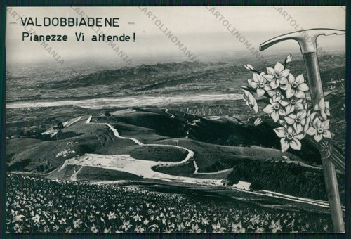 Treviso valdobbiadene pianezze - valdobbiadene,