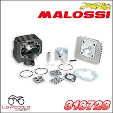 318723 GRUPPO TERMICO MALOSSI