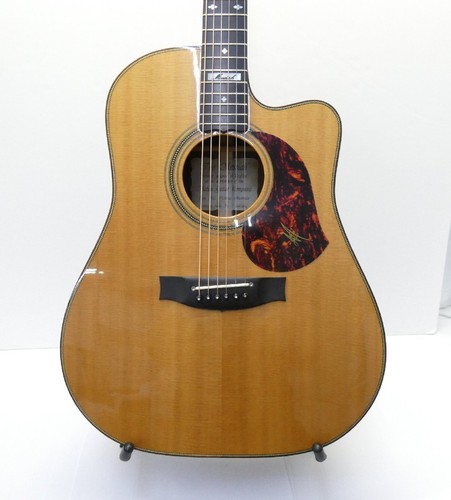 Chitarra elettrica acustica