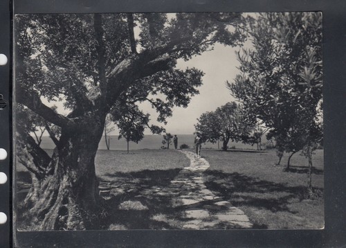 Cartolina maratea parco - maratea,