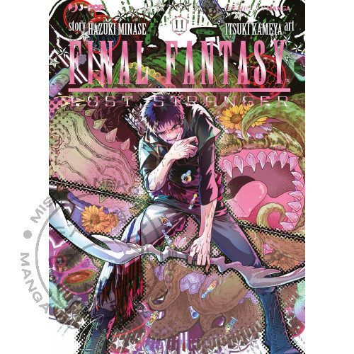 Final fantasy lost stranger - fantasy,