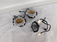 CORPO CORPI FARFALLATO