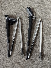 Bastoncini da trekking