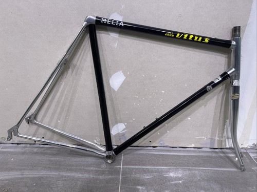 Cuadro vitus dural - cuadro, all