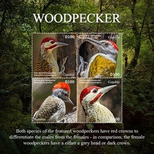 Gambia 2020 - Picchio - Foglio