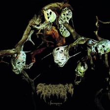 Audio Cd Spectral Voice -