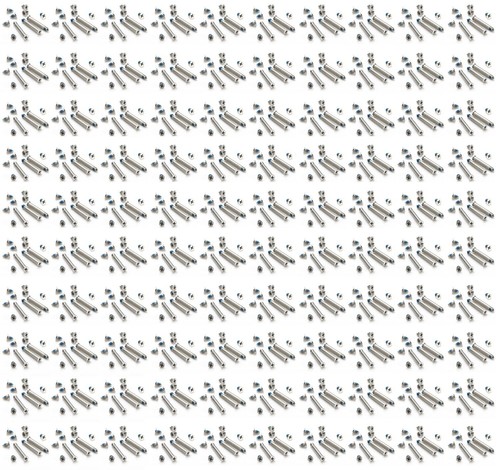 1000 pezzi viti custodia