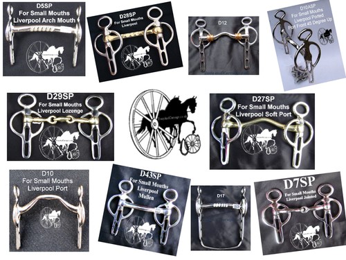 Carrozza guida cavallo bit