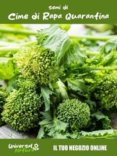 500 Semi di Cime di Rapa
