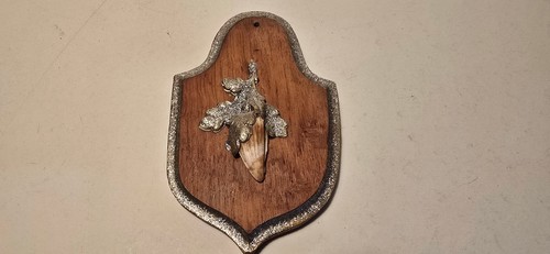 Armi cuneo denti - armi, a