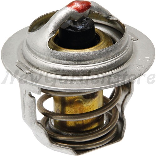 Termostato per motore